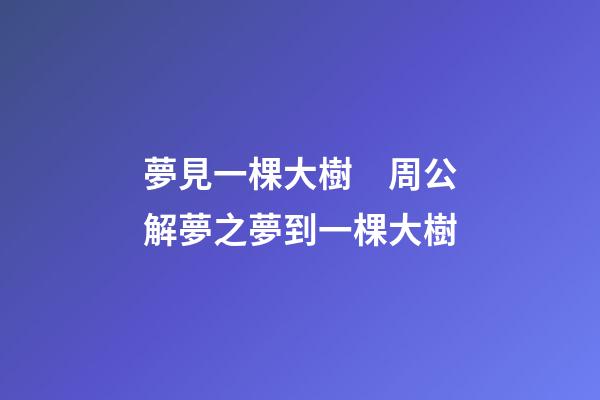 夢見一棵大樹　周公解夢之夢到一棵大樹